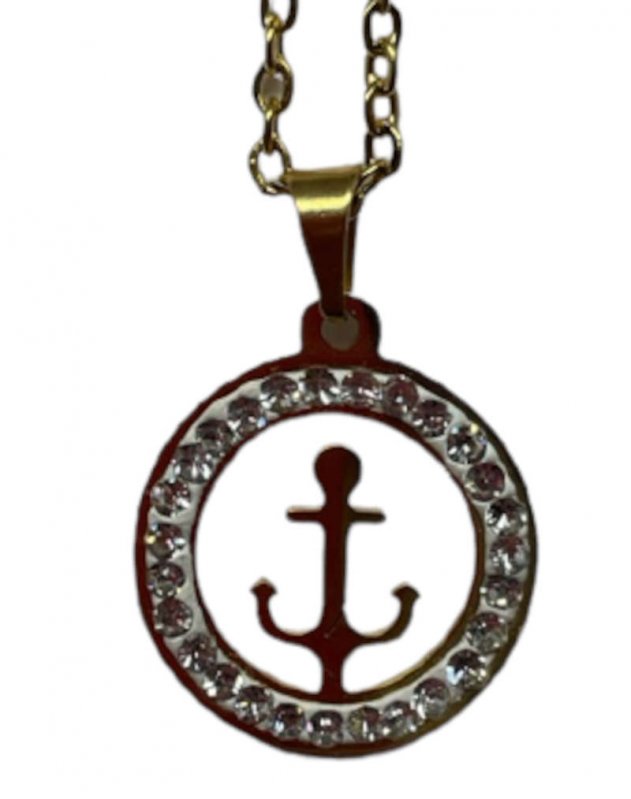 Anchor teräsriipus