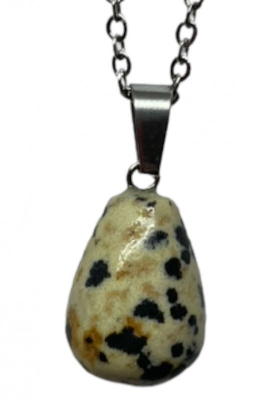 Dalmatian jaspisriipus